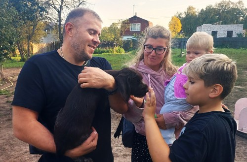 Новые владельцы дратхааров и курцхааров